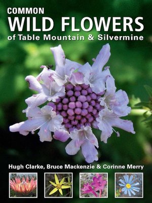 cover image of Common Wild Flowers of Table Mountain & Silvermine